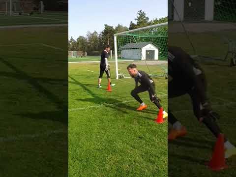 Low Dive Training For Goalkeepers #shorts