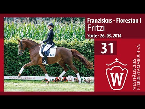 31 Fritzi  Stute v.  Franziskus  Florestan I