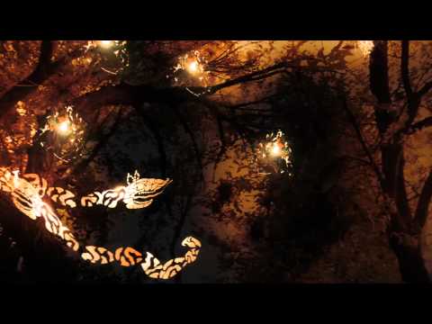 Luna Abu Nassar - Bamshi La-Oddam - بمشي لقدام ( Video Clip)