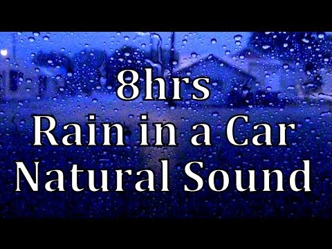 8hrs Rain in a Car 