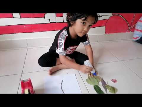 AMeL - Theme Nature (4 Years)