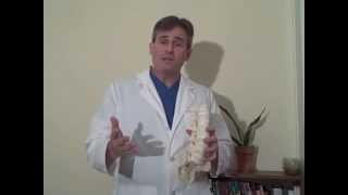 preview picture of video 'Orthopedic Surgeon, Albany GA  for Herniated Disc & Other Issues'