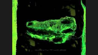 Avey Tare- Glass Bottom Boat