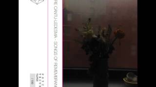 Jefre Cantu-Ledesma - Songs of remembrance A