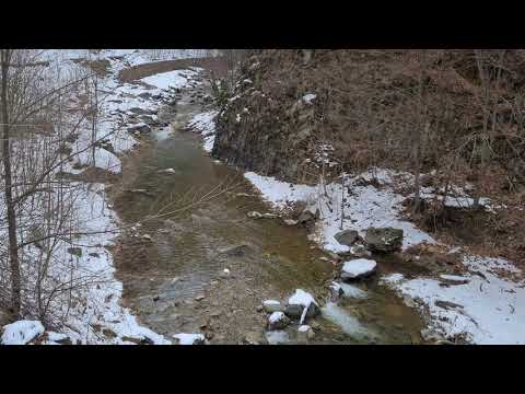 Cheile Tisitei Natural Park Lepsa Vrancea Romania