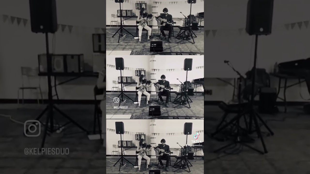 Promotional video thumbnail 3 for The Kelpies - Irish Traditional Music