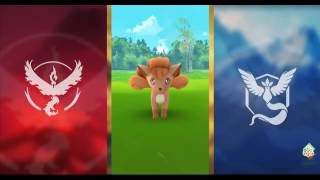 Pokemon GO #037 Vulpix CATCH!