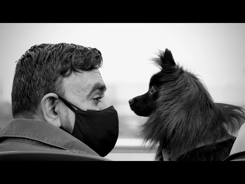 Carrusel de las Artes: ‘Compañeros de vida’, un homenaje a los perros a través de la fotografía