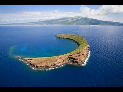 Molokini Crater, Maui, Hawaii (Snorkel)