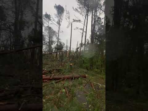 Tornado Xanxerê - Faxinal dos Guedes - Novembro 2025