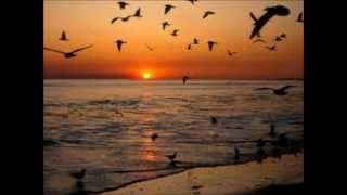 FRANCO BATTIATO - SUMMER ON A SOLITARY BEACH.wmv