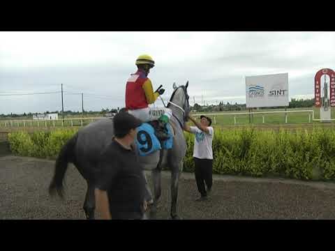 CARRERAS SINT FLORIDA - 211125 c04 1° A. P. DINAMICO