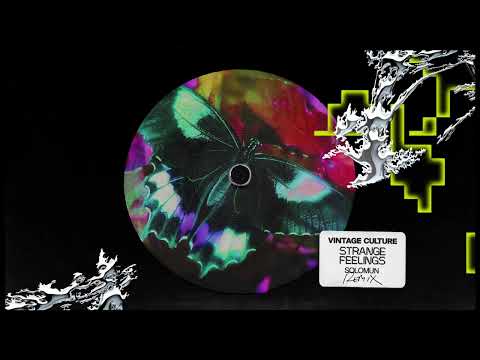 Vintage Culture - Strange Feelings (Solomun Remix)