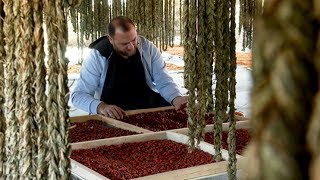 Իմ բիզնեսը. Արտուշ Խաչատրյան