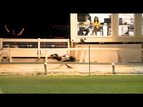 2020.07.10. 04. futam - July Trophy Open 1. futam