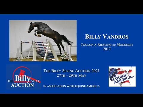 Billy Vandros
