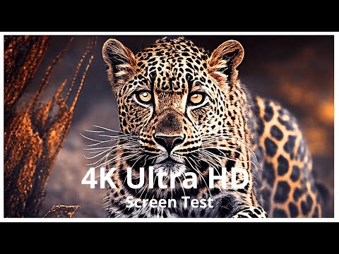 🌍 4K Ultra HD Screen Test - Breathtaking Details You Won’t Believe! 🎬