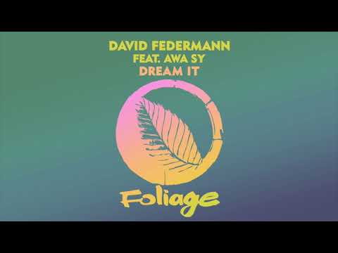 David Federmann feat. Awa Sy - Dream It (David Federmann Afro Mix)