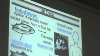 Dr Azza 5 6 11 2014   YouTube