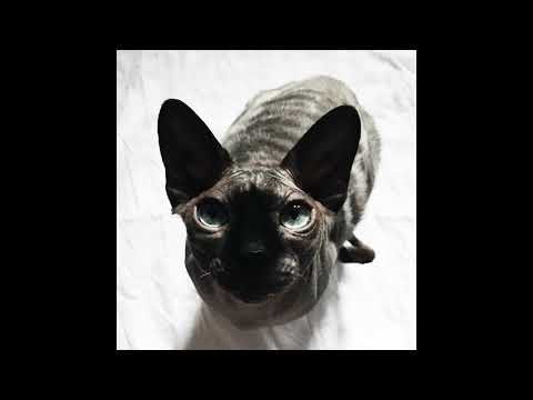 90Volts - Train In The Sky [90V0001]