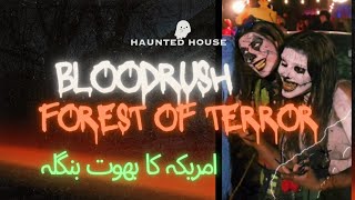 Halloween 2024 Fun || Bloodrush Haunted house || Halloween fun || بھوت بنگلہ ||USA