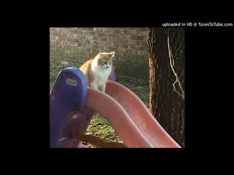 [FREE] $OHO BANI x t-low x Symba Type Beat