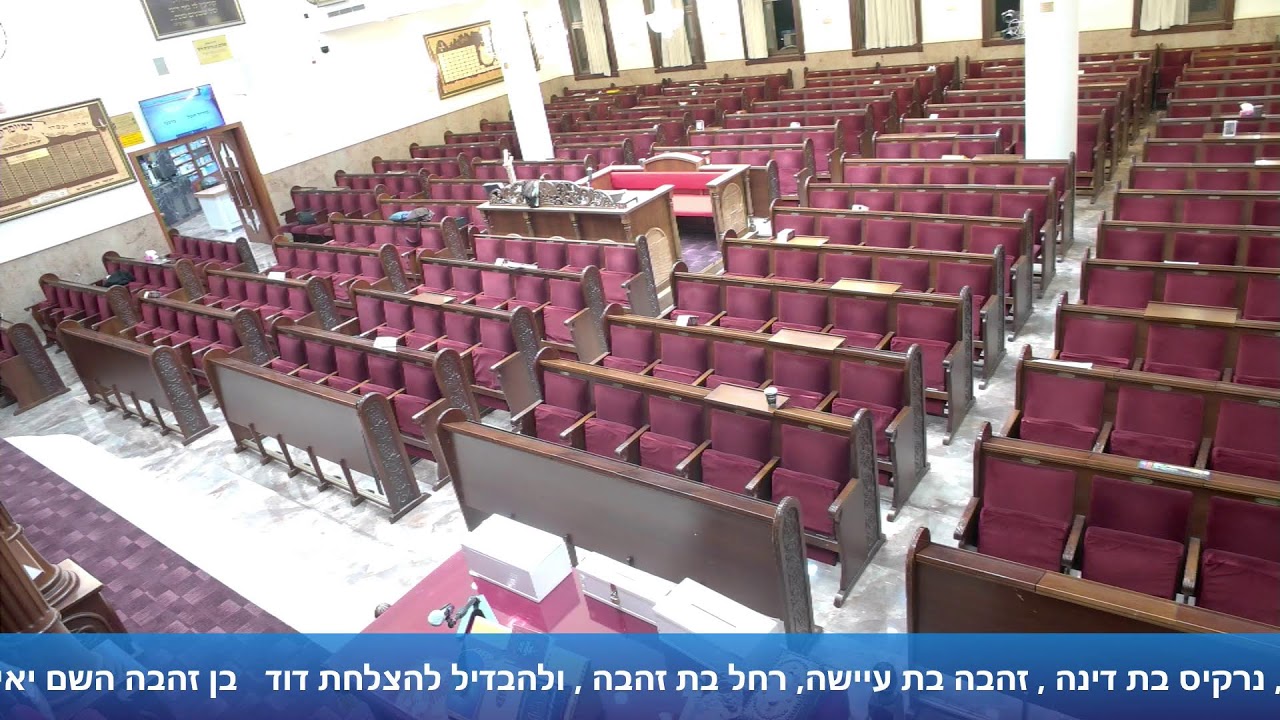 הרב אייל עמרמי - י' תמוז תשפ"ו [24.06.26]