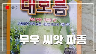#무우 씨앗 심는방법 #가을무우심는시기