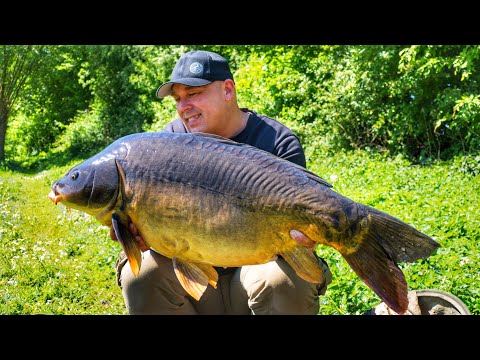 Karpfenangeln VTB 82 - Ein Tag am kleinen See + Waterwolf Unterwasseraufnahmen