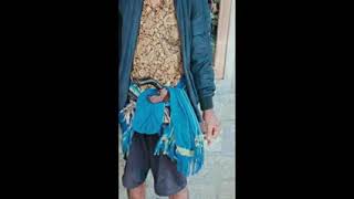 Download lagu Andre Taulany Ayah mp3