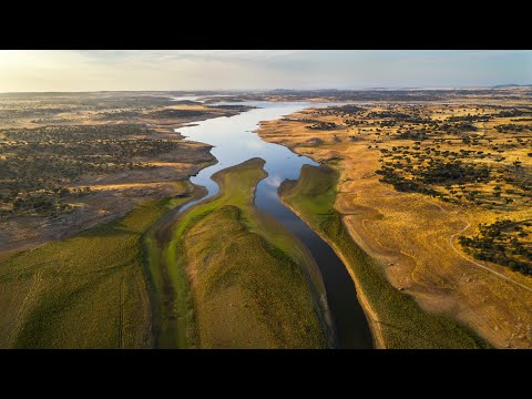 Dehesa - Forest of the Iberian Lynx - Trailer 2021