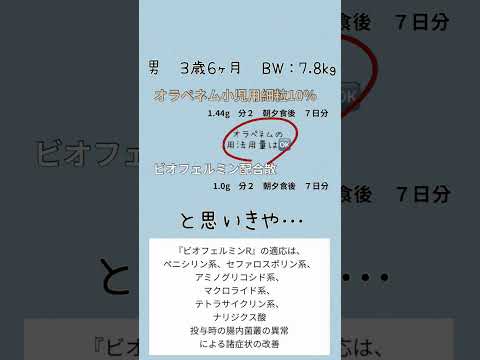 薬学科 【薬学部生・新人薬剤師向け】ビオフェルミンとビオフェルミンR