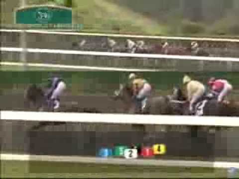 2013 Thoroughbred Club of America Stakes - Judy the Beauty