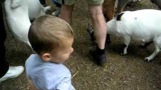 Parc Merveilleux Bettembourg (Luxembourg)