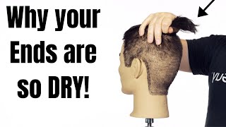 Why the Ends of your Hair are so DRY - TheSalonGuy