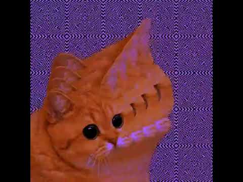 Maxime Dangles  MOBY MISTAKE . GREEN VELVET FEAT MAXIME DANGLES