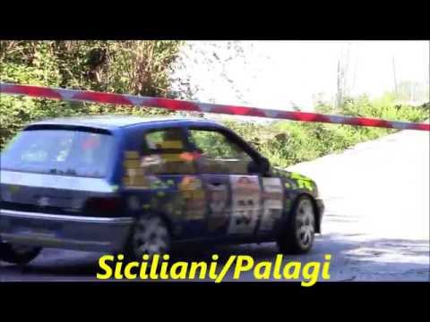 Rally C.tà di Camaiore 2013 P.S.1 A-7 (6/20)