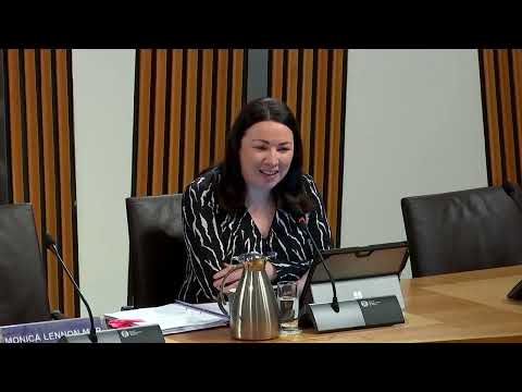 Net Zero, Energy and Transport Committee - 15 November 2022