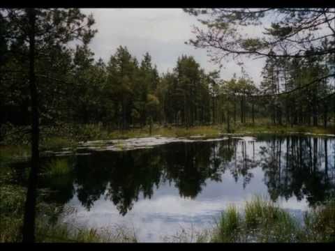 Visa vid midsommartid - Lars Andersson (Lasse Luta)