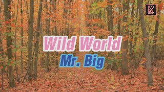Download lagu Mr. Big - Wild World [Karaoke Classics HD] mp3