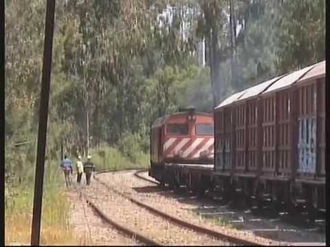 CP 1962 com Cimenteiros na Linha do Oeste e Ramal da Maceira - 04 Jun 2015
