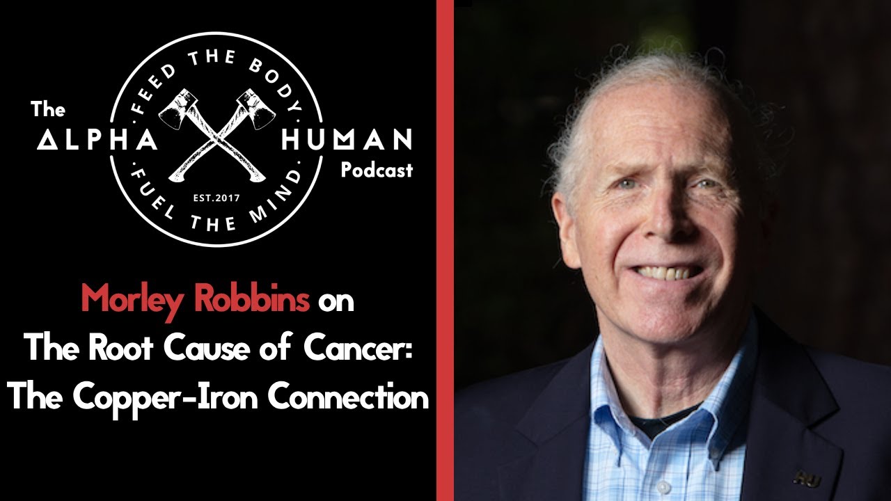 Morley Robbins on The Root Cause of Cancer: The Copper-Iron Connection