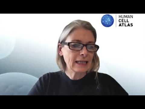 HCA General Meeting 2021 (virtual) - IBD Session