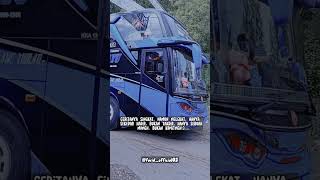 Download lagu Story Wa Kupu kupu ayu 'Blue Admiral' mp3