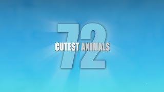 72 Cutest Animals - Trailer