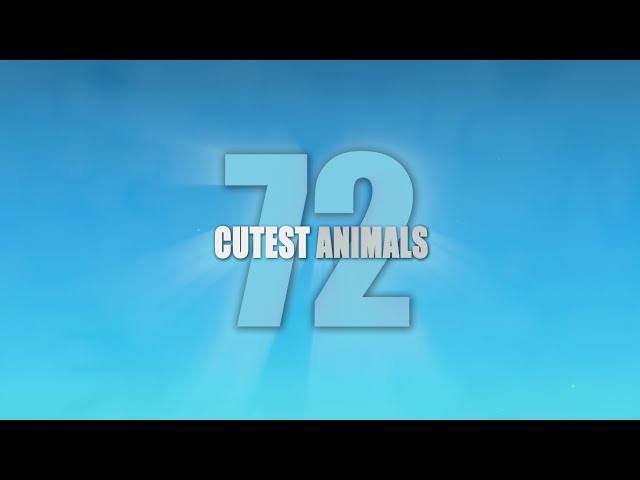 72 Cutest Animals - Trailer