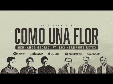 Como Una Flor - Hermanos Osorio ft. Los Hermanos Reyes