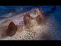Cold Warriors Diving For Science In Antarctica
