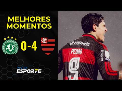 Assista ao Vídeo