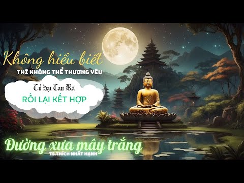 [P17] Không hiểu biết thì không thể thương yêu || ĐƯỜNG XƯA MÂY TRẮNG | Thiền sư Thích Nhất Hạnh